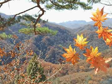 控客密码锁售后服务热线号码-全国各售后号码（完美资讯）